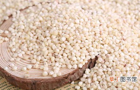 【吃】高粱米怎么做好吃？高粱米的功效与作用及食用方法