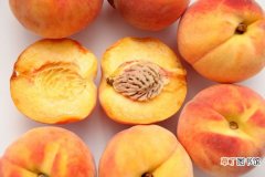 【营养】黄桃的营养与功效是什么呢？