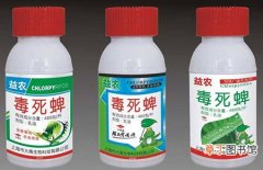 【方法】农药毒死蜱的使用方法和剂量兑比