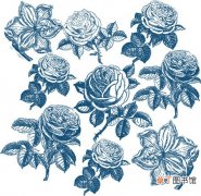 【百合】精美手绘玫瑰花与百合图片