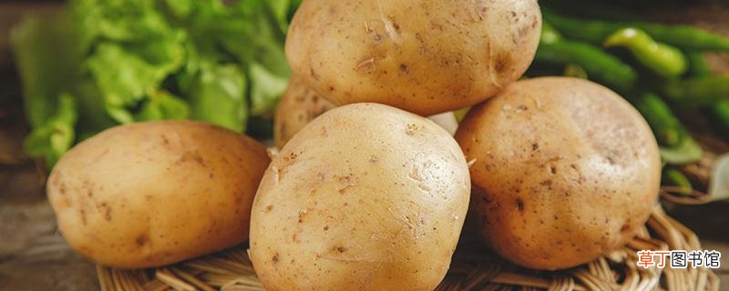土豆可以放冰箱储存吗 土豆怎么保存比较好