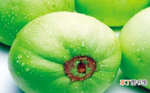 【吃】香瓜怎么吃 香瓜的吃法有哪些？