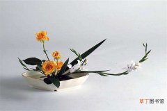 【插花】浅盆插花的方法和形式有哪些？