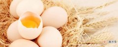 鸡蛋怎么区分公母 如何分辨小鸡的公母