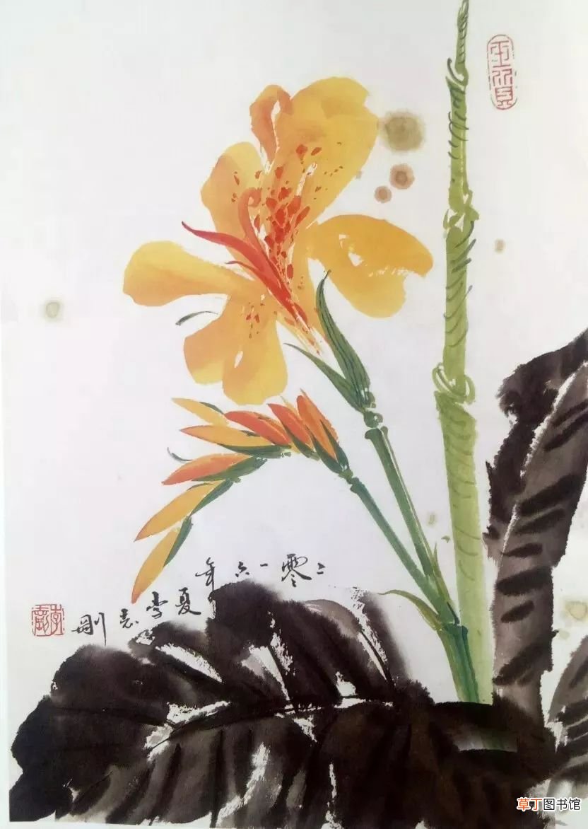 【花】国画美人蕉花图片有哪些？