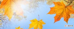 秋分节气的含义是什么 秋分过后是什么节气