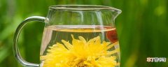 菊花茯苓泡水喝的功效 菊花和什么一起泡最好