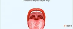 地图舌需要补充什么维生素 地图舌是脾胃虚弱吗