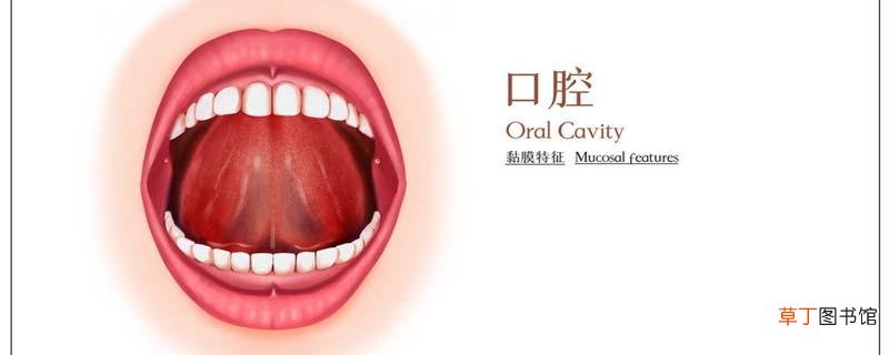 齿痕舌怎么造成的 齿痕舌有什么危害
