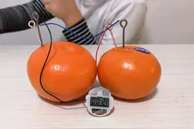 水果电池中的水果相当于什么 水果电池实验原理