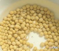 泡黄豆的方法步骤 黄豆要泡多久