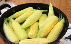 新鲜玉米和煮熟玉米的保质期 玉米可以放多久