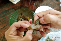 清洗虾的正确方法和处理技巧 洗虾的正确方法图解