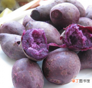 紫色土豆的营养价值和做法大全 紫色土豆和普通土豆有什么区别