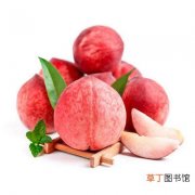 毛桃和水蜜桃的特点 毛桃和水蜜桃的区别