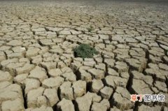 干旱的危害和预防措施 干旱的危害有哪些