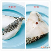 鳕鱼油鱼的对比和区别 油鱼和鳕鱼的区别图片