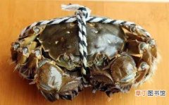 螃蟹长期保鲜储存方法 螃蟹怎么保存不会死