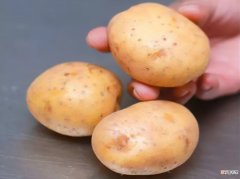 避免土豆发芽的科学方法 防止土豆发芽的小妙招