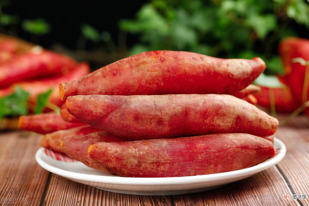 蒸红薯熟透的时间 红薯要蒸多久