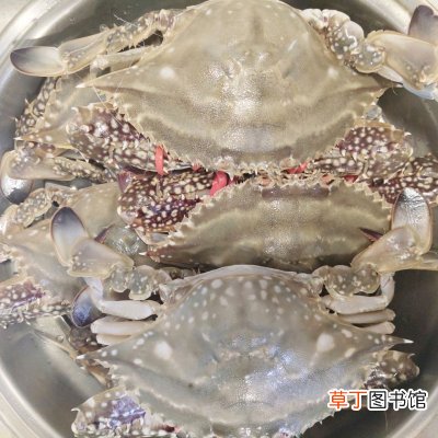 清蒸螃蟹的清洗方法和吃法图解 清蒸螃蟹如何清洗