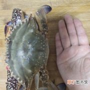 清蒸螃蟹的清洗方法和吃法图解 清蒸螃蟹如何清洗