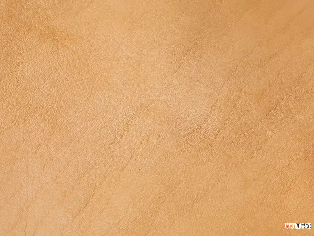 树膏皮是真皮还是假皮 树膏皮是什么材质
