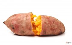 红薯类品种大全介绍 番薯的种类有哪些