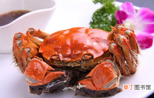 螃蟹的寿命长短 螃蟹寿命一般多少年