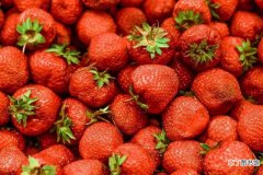 草莓的形状、颜色、味道描写 草莓是什么形状