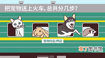 坐票易通绿皮火车带宠物的方法 绿皮火车能带宠物吗