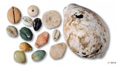 古代用贝壳当货币的原因 贝壳当钱币的原因是什么