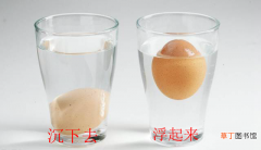 鸡蛋浮起来的原理 蛋在盐水里为什么会浮起来