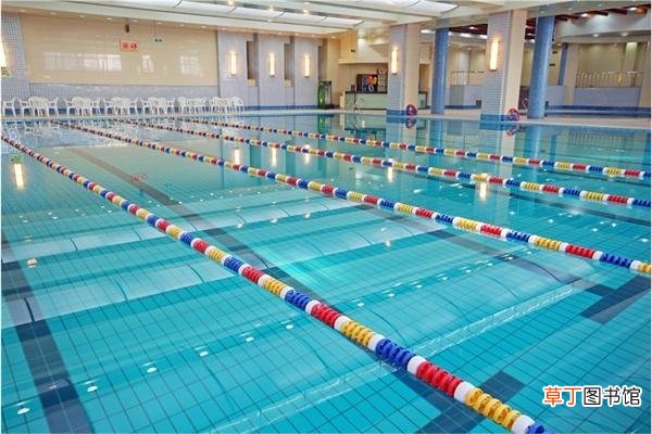 游泳池标准尺寸 标准泳池的长和宽是多少米