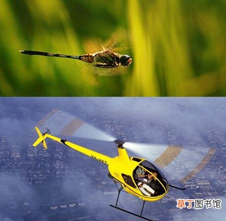 直升机源于什么动物发明的 直升机是根据什么动物发明的
