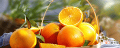 新鲜橙子皮泡水可以浇花吗 桔子皮水适合浇什么花