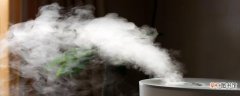 家用加湿器有雾的好还是没雾的好 加湿器会让人体湿气加重吗