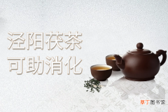 泾阳茯茶的功效与作用，喝泾阳茯茶有这些好处