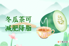 关于冬瓜茶的功效与作用及禁忌你了解多少？
