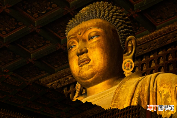 中医治身，佛医治心，两者有什么联系呢？|佛教与中医药的关系
